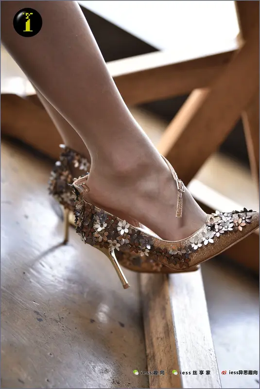 [IESS异思趣向] 普惠集 095 暖暖的“黄金甲” - IESS